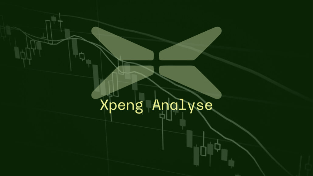 XPeng Analyse_24.01.2025.001